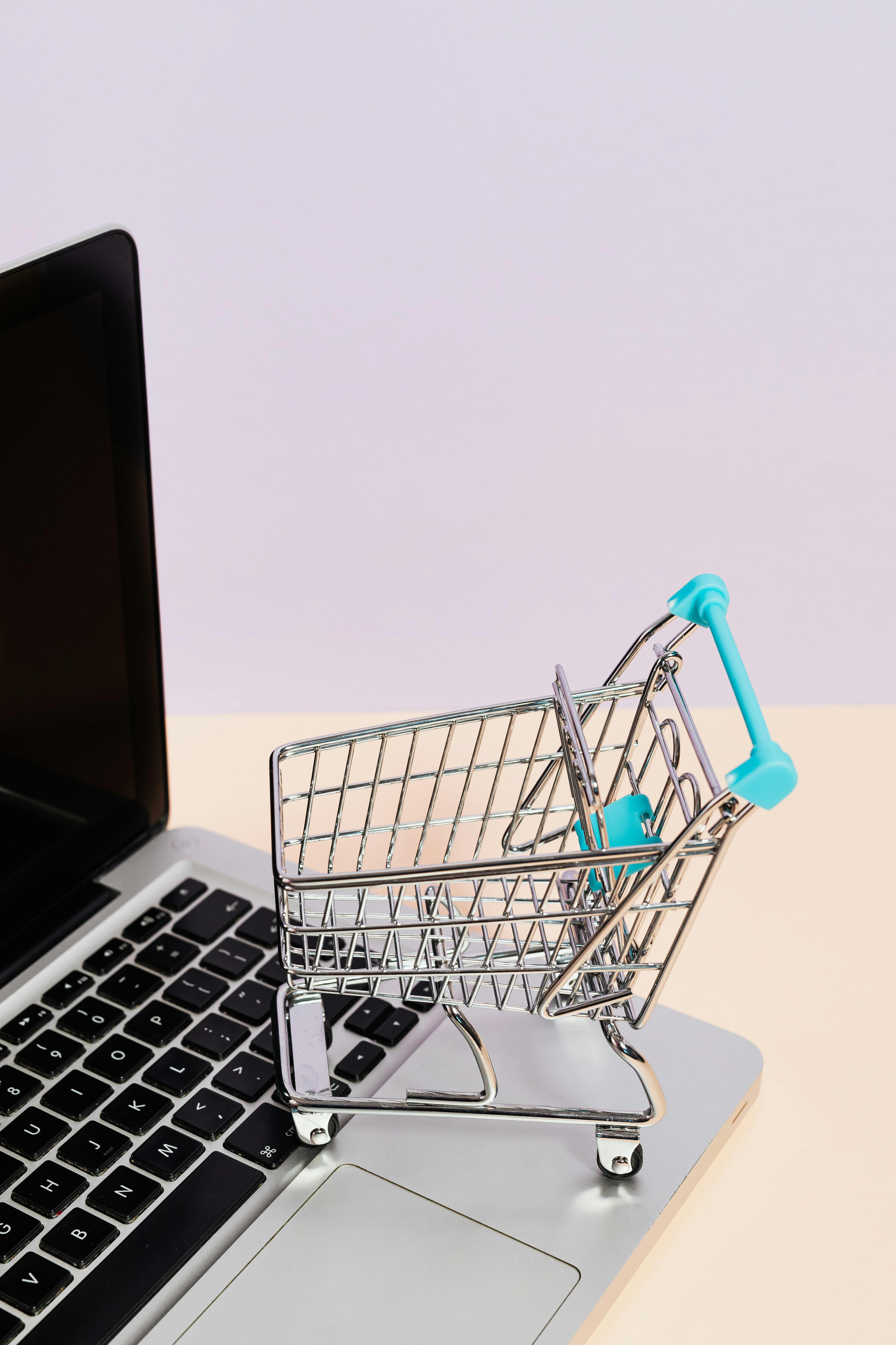 Grow Online Sales with VatrinaView